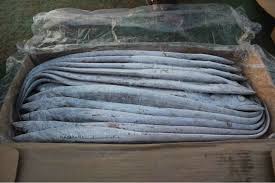 Frozen Ribbonfish